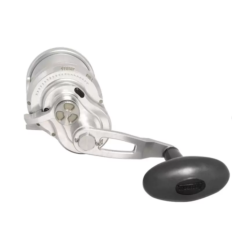 Mulinello rotante AccurateFury FX 400 traina col vivo dentice ricciola