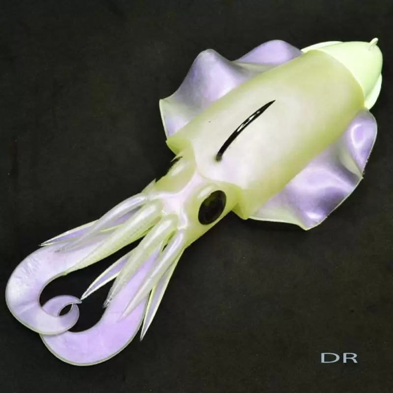 Esca artificiale softbait Xoco JLC 80 GR COL. RGW slowjigging