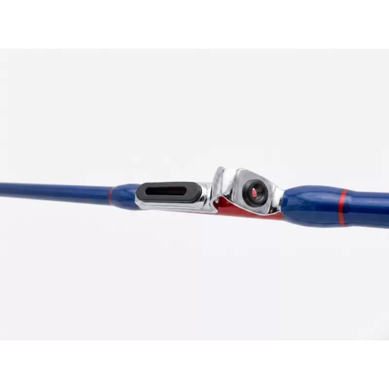 Canna Ichinusa Squid Interline Limited Edition