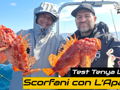 Scorfani con l'Apagu - Test Esca Tenya Lumo