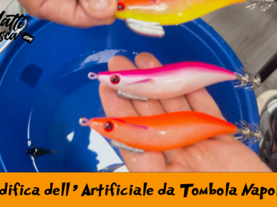 Modifica Artificiali Pesca al Calamaro dalla Ba